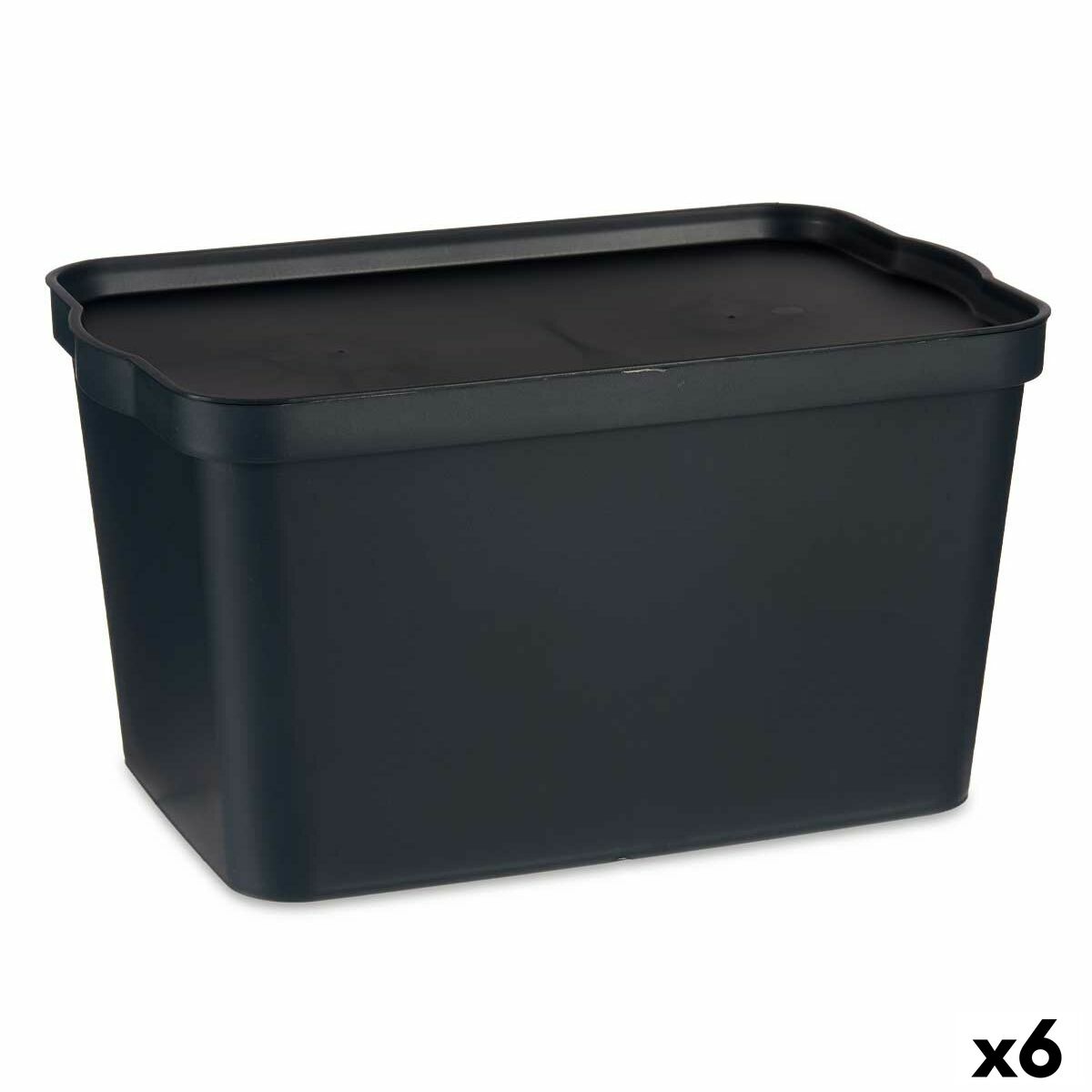 Förvaringslåda med lock Kipit TP596-1 Antracitgrå Plast 24 L 29,3 x 24,5 x 45 cm (6 antal)