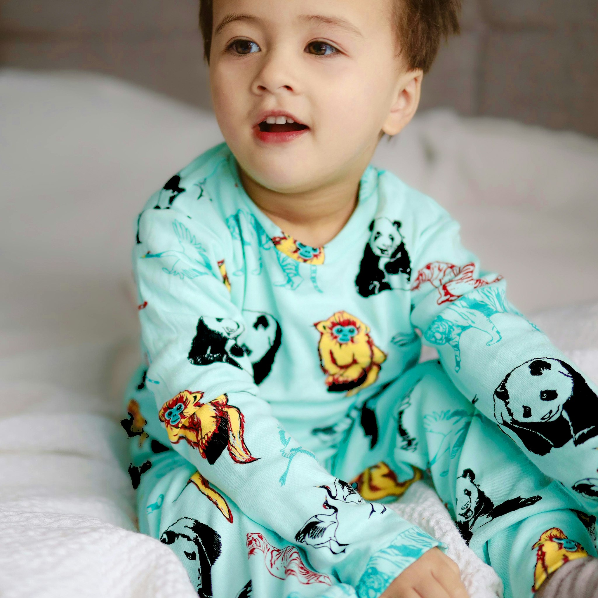 Långärmad t-shirt - Panda och vänner 1-8år