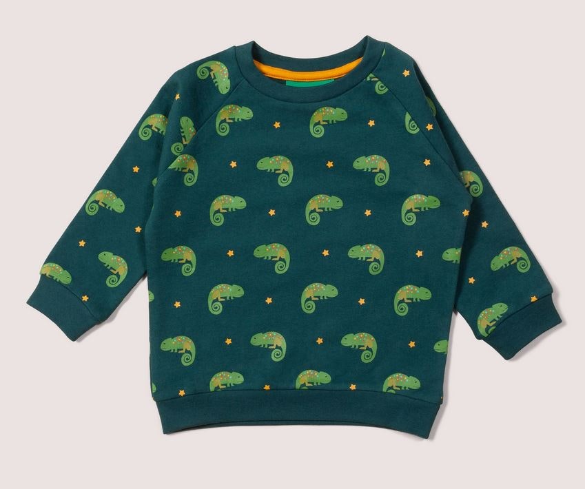 Sweatshirt för Barn i Raglanmodell ? Ödla 9mån-8år