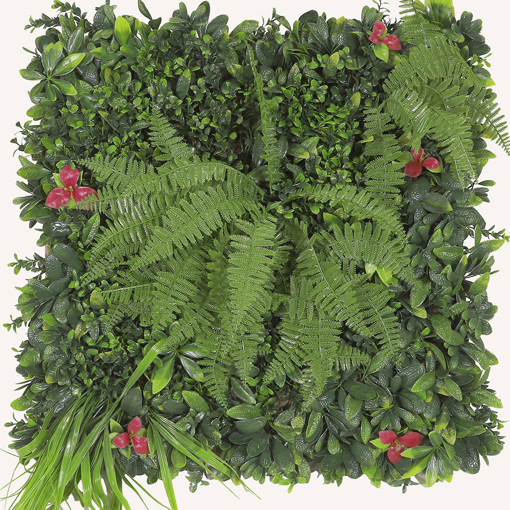 Växtvägg Fern