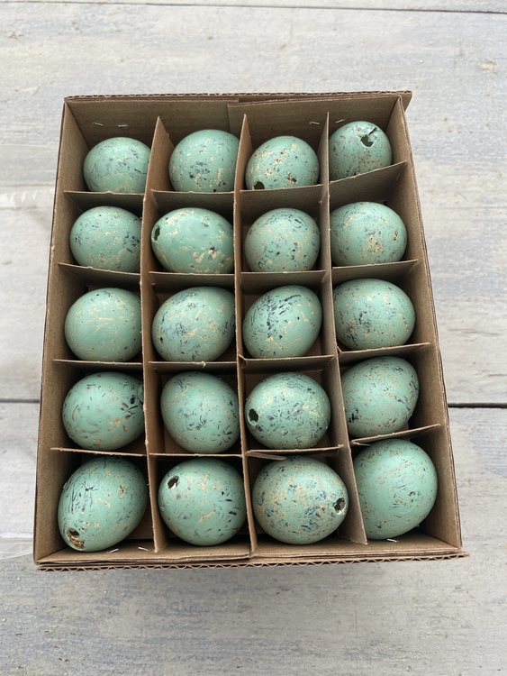 Vaktelägg