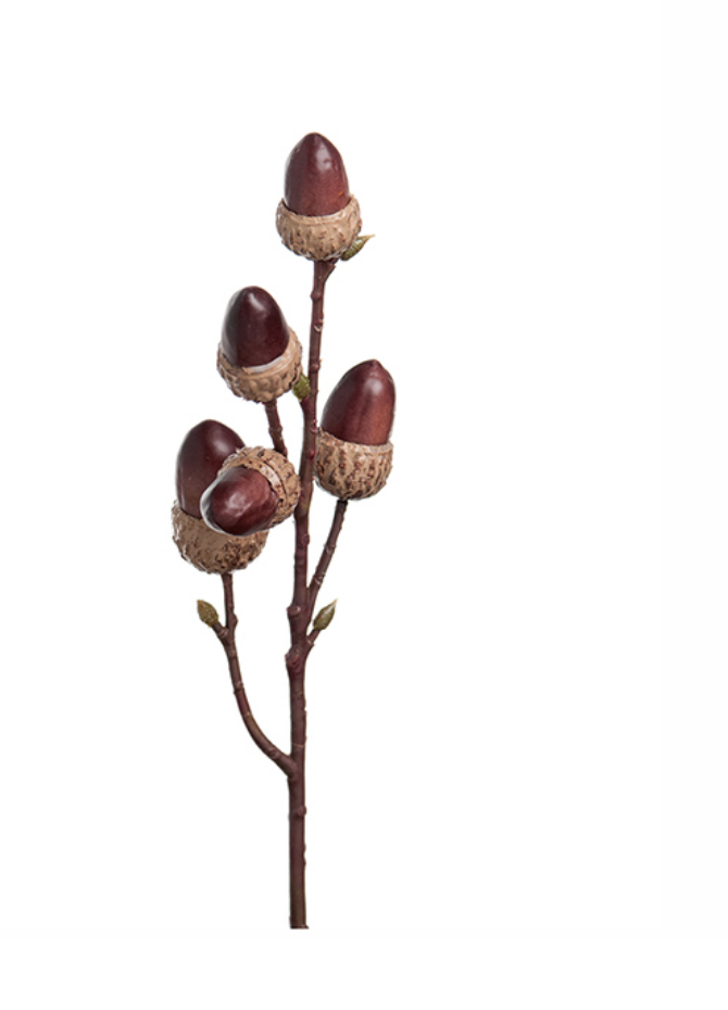 Kvist ekollon 30 cm