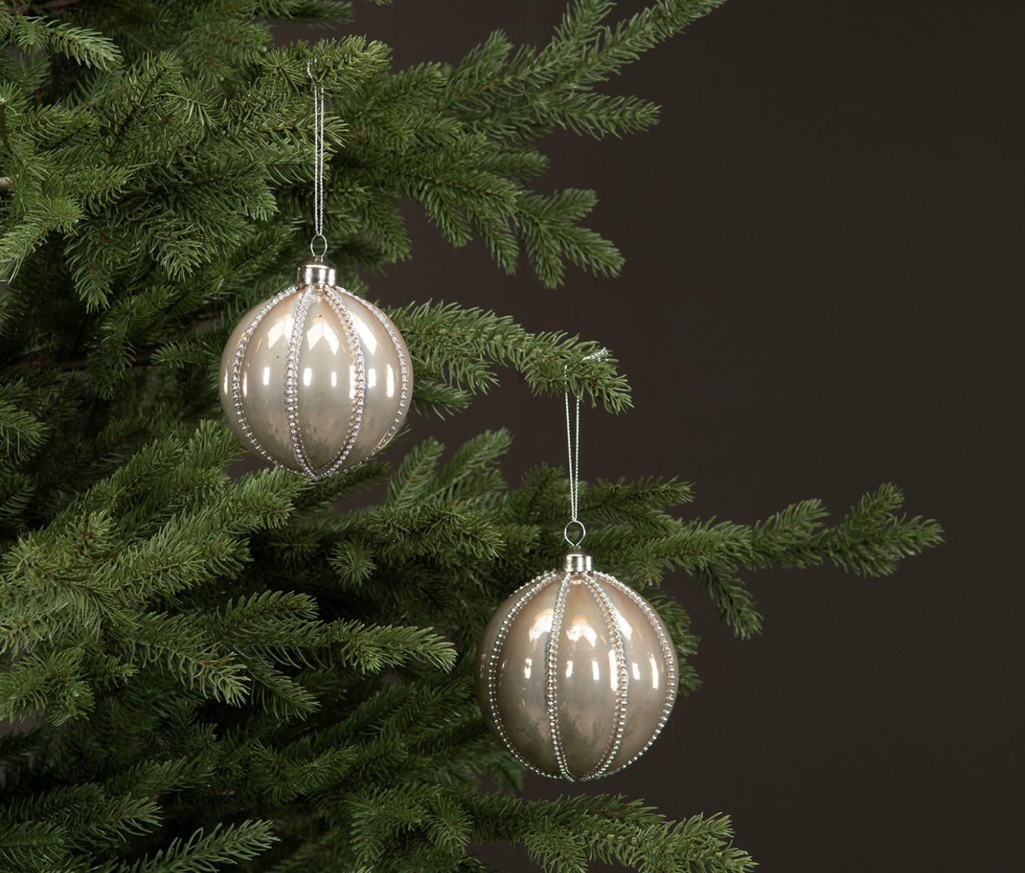 Glaskula Pearl 2 pack
