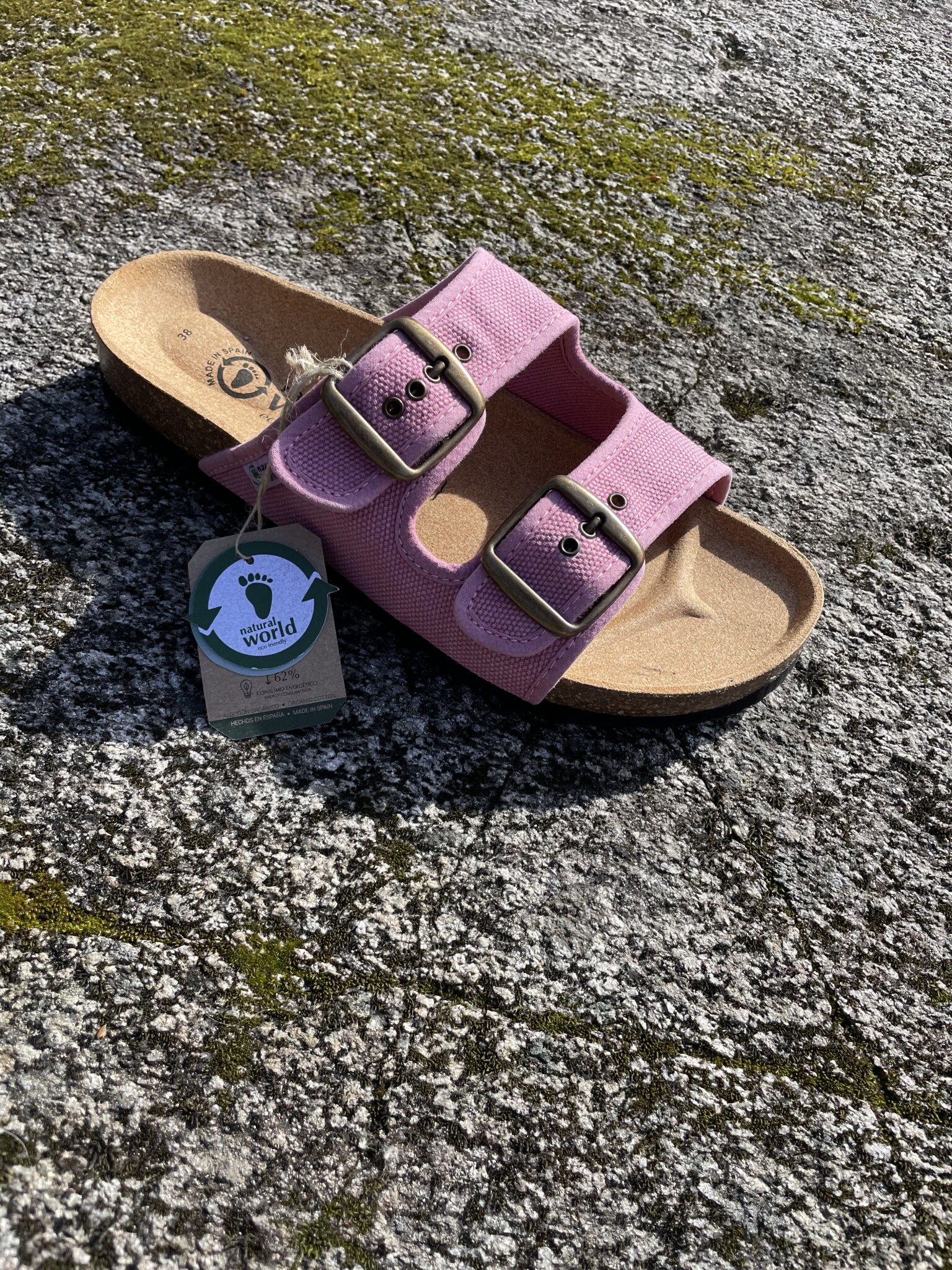 Sandal Tropical Natural World