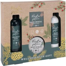 SPA Set Bad/Kropp Spiced Pumpkin Apple Cinnamon