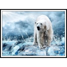 Polar bear 50x70 299 Poster (ej med ram)