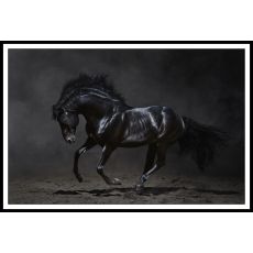 Svart häst 100x140 1895 Tavla med ram (svart)