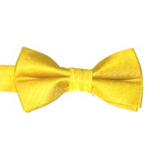Barnfluga BF046