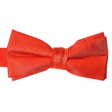 Barnfluga BF053