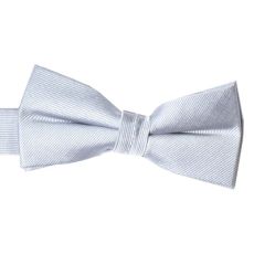 Barnfluga BF057