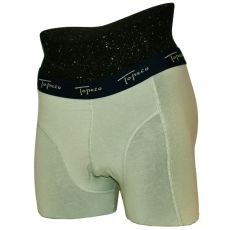 Herrboxer Regular, Mintgrön