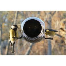 Fågelmatare med sugpropp