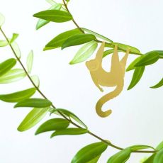 Plant Animal Lemur