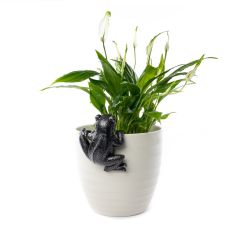 Grodan Pot Buddy