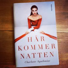 Bok - Här kommer natten