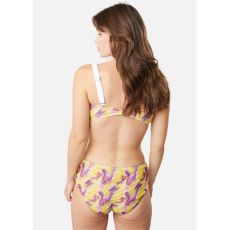 Colorful Dream - Hotpants (S)