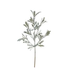 Kvist Cypress Bär 51 cm