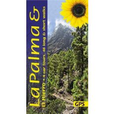 La Palma and El Hierro Sunflower