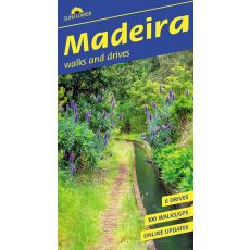 Madeira Sunflower