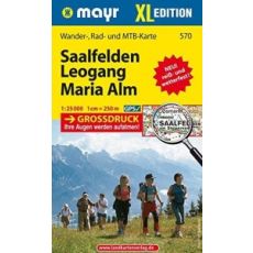 570 Saalfelden Leogang Maria Alm