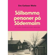 Sällsamma personer på södermalm