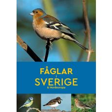 Fåglar i Sverige & Nordeuropa