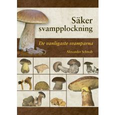 Säker svampplockning