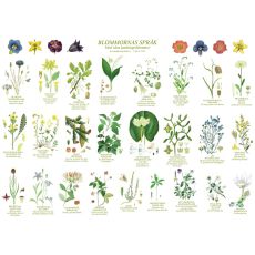 Vykort Blommornas språk