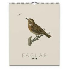 Kalender Fåglar 2025 almanacka