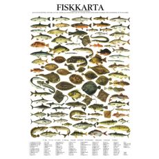 Vykort Fiskar