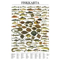 Fiskposter