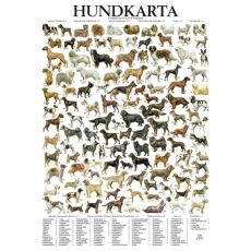 Hundposter