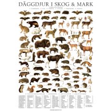Däggdjursposter