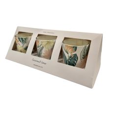 Doftljus 3-pack Coconut Lime Glas