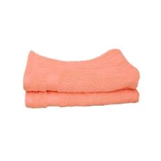 Guest Towels Pack of 2 (30x50cm) - Salmon