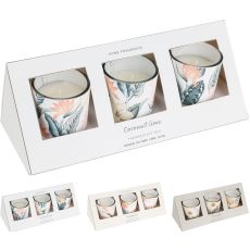 Doftljus 3-pack Pine Apple Glas