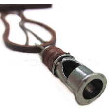 Halsband "Whistle" med läderrem och Rostfri kedja
