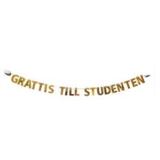 Studentpaket Vit/Guld Tallrikar Servetter Muggar Girlang Student