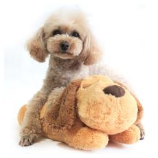 ❤️ Snuggle puppy med hjärtslag, stressar ner och lugnar din hund Valp guldbrun