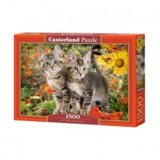 Pussel kitten buddies 1500 bitar