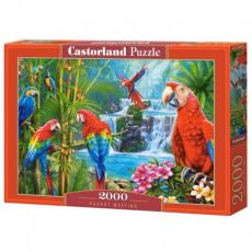 Pussel parrot meeting 2000 bitar