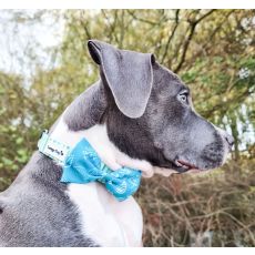 Hundfluga "MOLLY"
