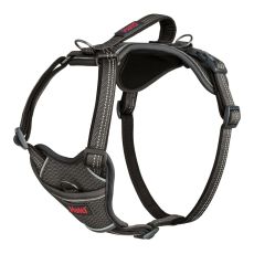 Hundsele Company of Animals Grå L 42-65 cm