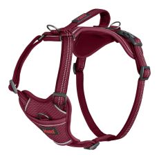 Hundsele Company of Animals Bordeaux XS 20-32 cm