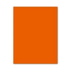 Papp Iris Tangerine 50 x 65 cm