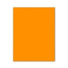 Papp Iris Orange 50 x 65 cm