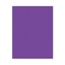 Papp Iris Violett 50 x 65 cm