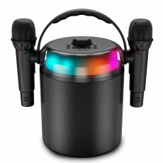 Högtalare Ledwood LD-PLAYKARAOKE