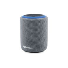 Bärbar Bluetooth Högtalare CoolBox COO-BTA-G231 Grå 5 W