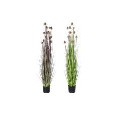 Dekorativ växt DKD Home Decor 40 x 40 x 150 cm Rosa Lila Polyetylen PVC (2 antal)